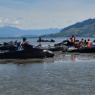 AFP_LL6N1.jpg