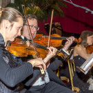 Ball der Wiener Wirtschaft - Wiener Hofburg - 11_02_2017 _166 von 248_.jpg