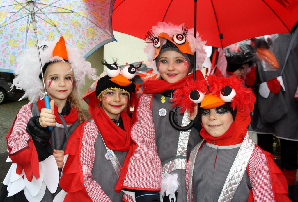 Lochau Fasching UMZUG Termin Februar 2017 _17_.JPG