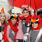 Lochau Fasching UMZUG Termin Februar 2017 _17_.JPG