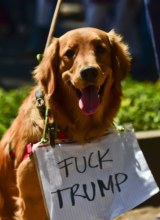 Mexiko Proteste _15_.jpg