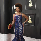 The_59th_Annual_Grammy_Awards_-_Arrivals_25679.jpg