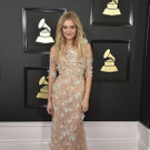 The_59th_Annual_Grammy_Awards_-_Arrivals_89387.jpg