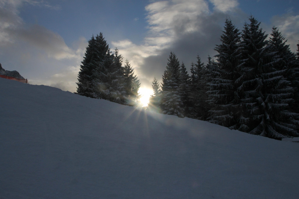 IMG_7136.JPG