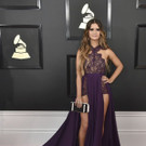 APTOPIX_The_59th_Annual_Grammy_Awards_-_Arrivals_58509.jpg