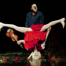 Das Freudenhausprogramm 2017 steht