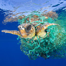 World_Press_Photo_15880.jpg