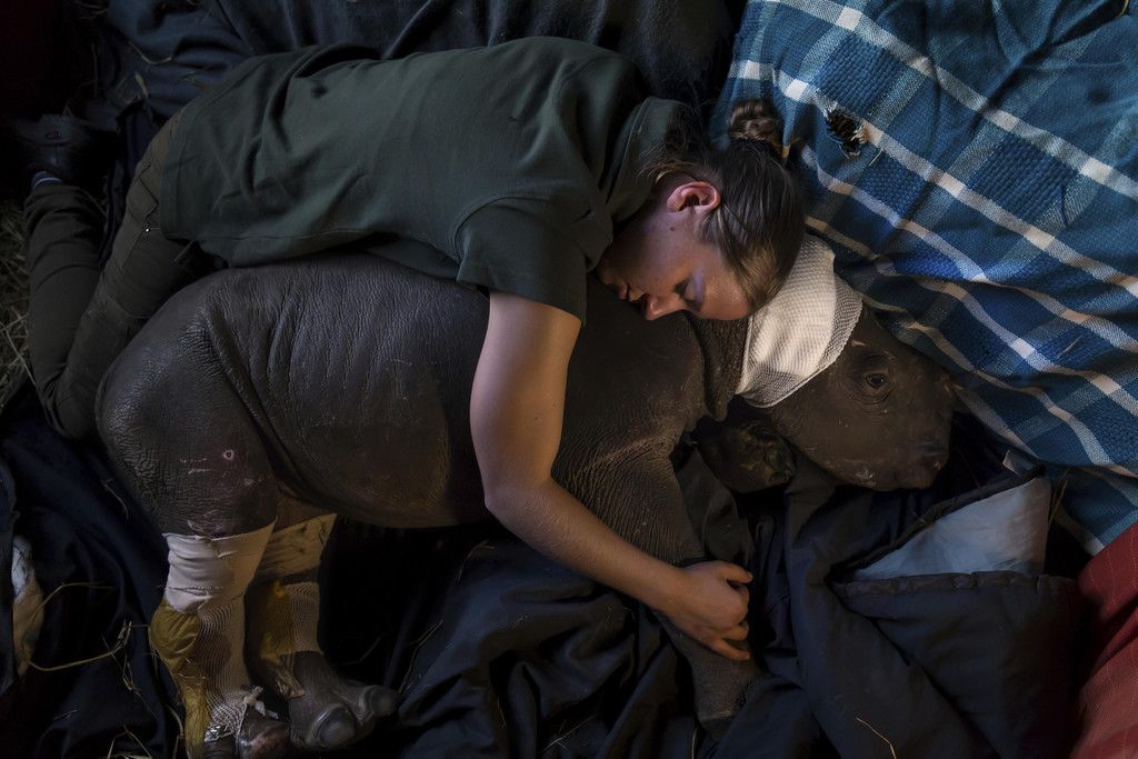 World_Press_Photo_29797.jpg