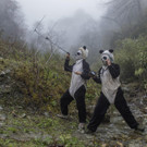 World_Press_Photo_49953.jpg
