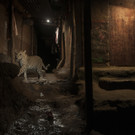World_Press_Photo_69944.jpg