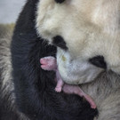 World_Press_Photo_88541.jpg