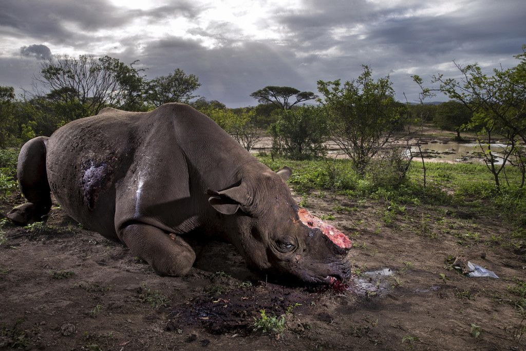 World_Press_Photo_89803.jpg