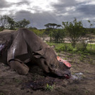 World_Press_Photo_89803.jpg