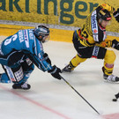 EXPA-THA-170214-0138.jpg