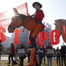 France_Europe_Canada_72218.jpg