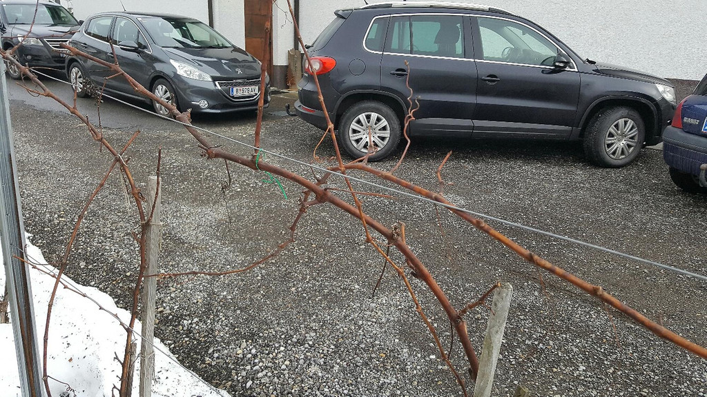 ogv20170212041062.jpeg