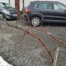 ogv20170212041062.jpeg
