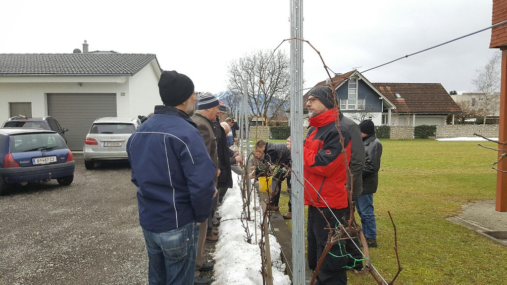 ogv20170212041063.jpeg