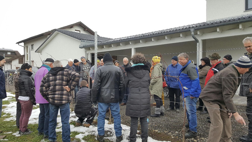 ogv20170212041073.jpeg