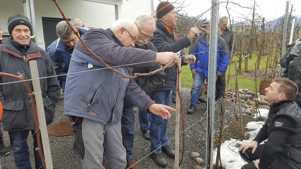 ogv20170212041075.jpeg