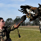 AFP_LO9CR.jpg