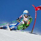 AFP_LR01D.jpg