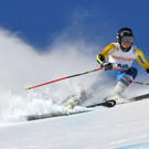 AFP_LR01I.jpg
