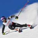 AFP_LR14F_1.jpg