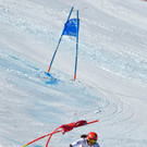 AFP_LR272.jpg