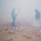 AFP_LP9C6.jpg