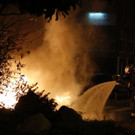 AFP_LM256.jpg