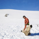 Mongolia_Harsh_Winter_68460.jpg
