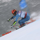 Switzerland_Alpine_Skiing_Worlds_73737.jpg