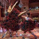 60_ Ball der Wiener Kaffeesieder - Wiener Hofburg - 17_02_2017 _80 von 261_.jpg
