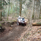 landy1.JPG
