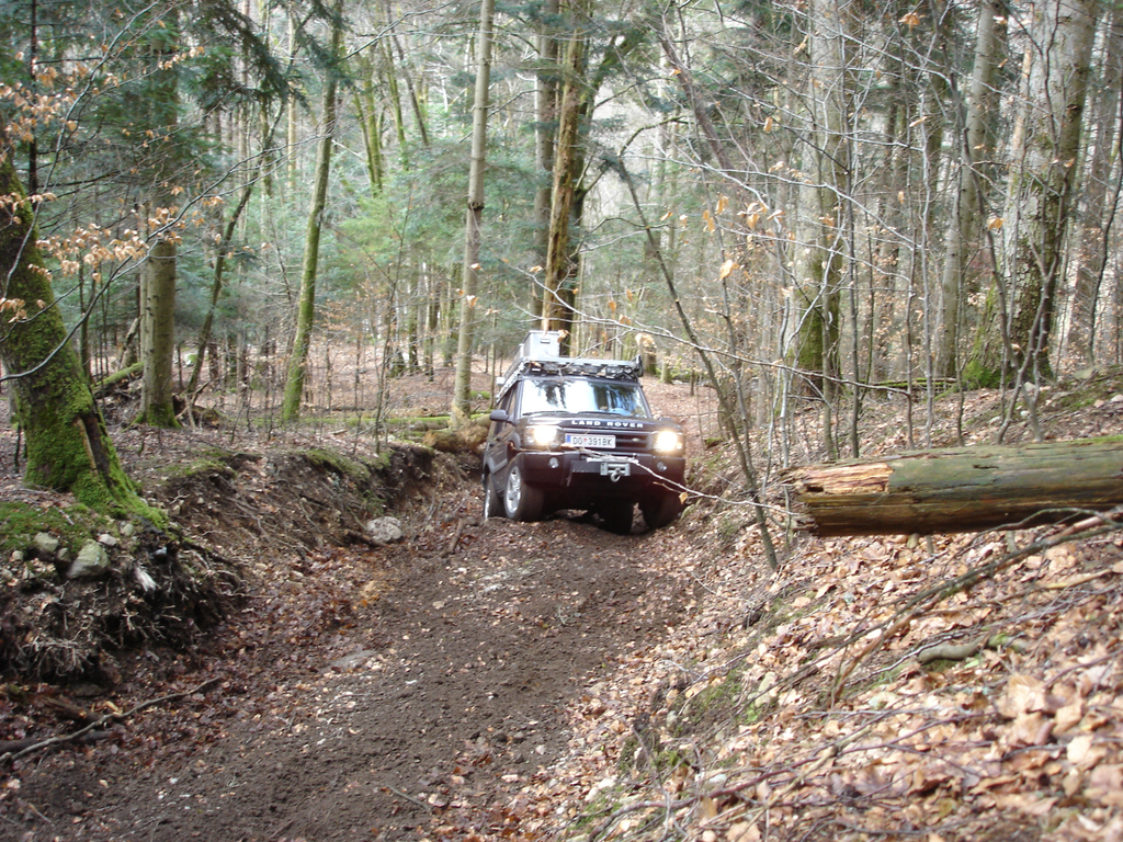 landy1.JPG
