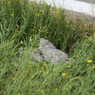 normal_05072010vua1ffaktivnews_017.jpg