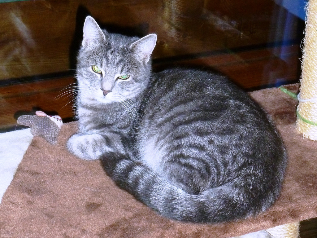 P1060112s.JPG