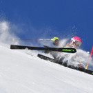 AFP_LT488.jpg