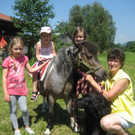 28 06 10_Pferdep__dag_ Auto Markus M__ller_1710.JPG