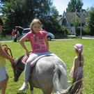 28 06 10_Pferdep__dag_ Auto Markus M__ller_1714.JPG