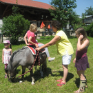 28 06 10_Pferdep__dag_ Auto Markus M__ller_1713.JPG
