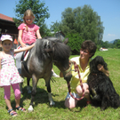 28 06 10_Pferdep__dag_ Auto Markus M__ller_1718.JPG
