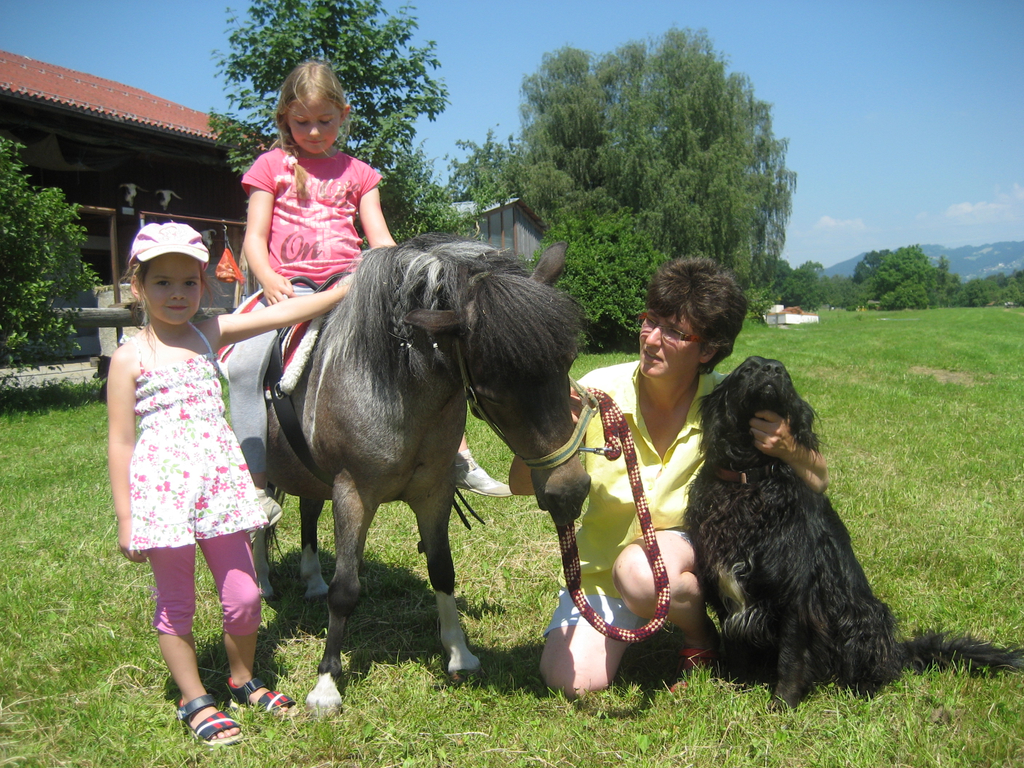 28 06 10_Pferdep__dag_ Auto Markus M__ller_1718.JPG
