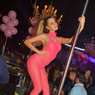 Pink Elephant @ Bollwerk 18.02.2107
