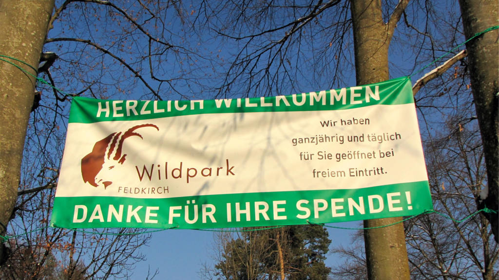 KOE_Wildpark Tierpaten Mufflon 2.jpg