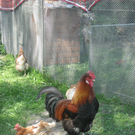 01 07 10_1786.JPG
