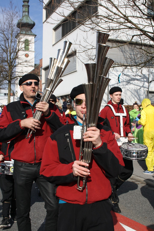 Lochauer Faschingsumzug FEB 2017 _16_.JPG