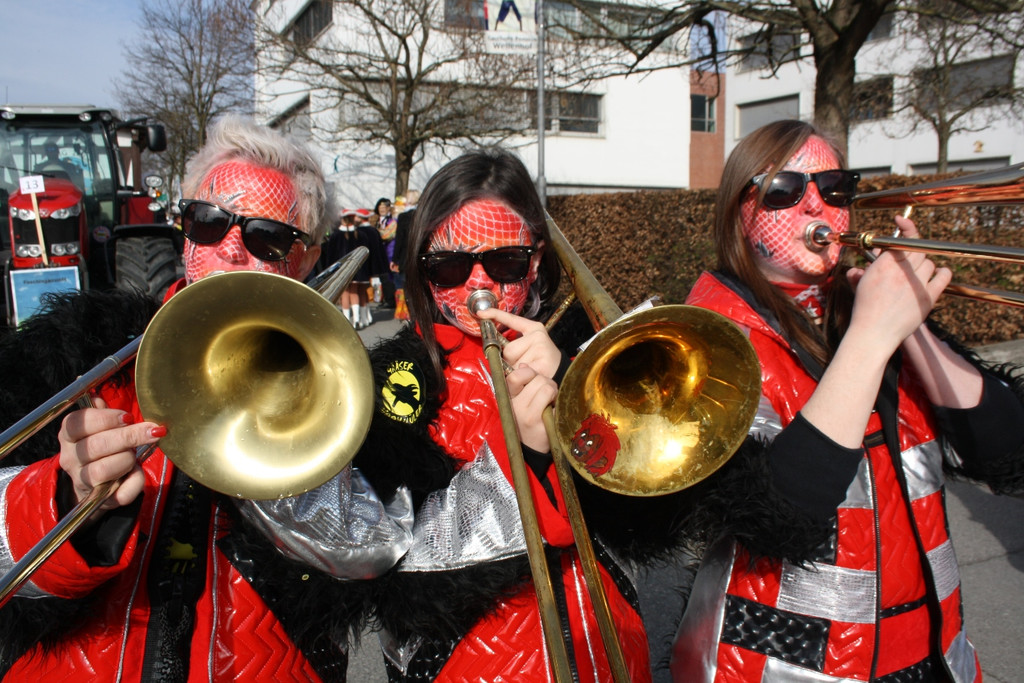 Lochauer Faschingsumzug FEB 2017 _27_.JPG