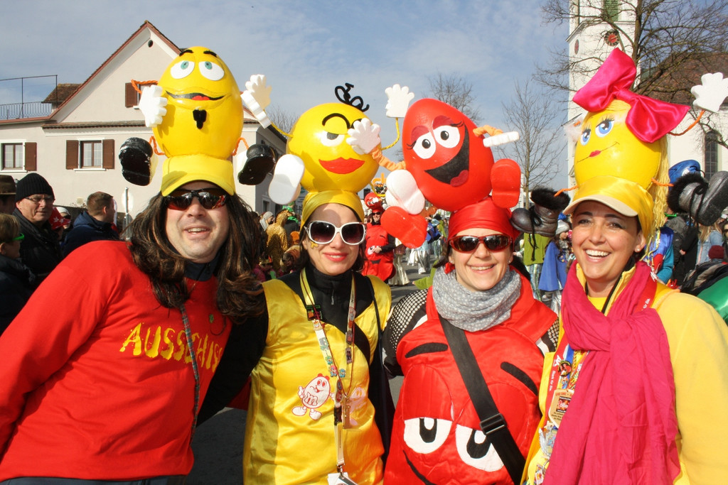 Lochauer Faschingsumzug FEB 2017 _29_.JPG